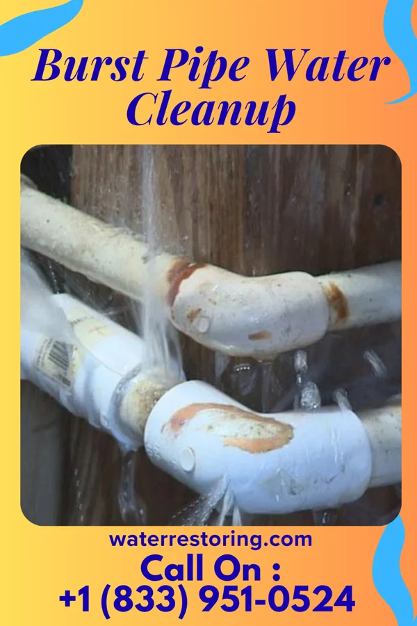 Burst Pipe Water Cleanup in Montpelier, OH