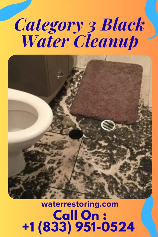 Category 3 Black Water Cleanup in Montpelier, OH