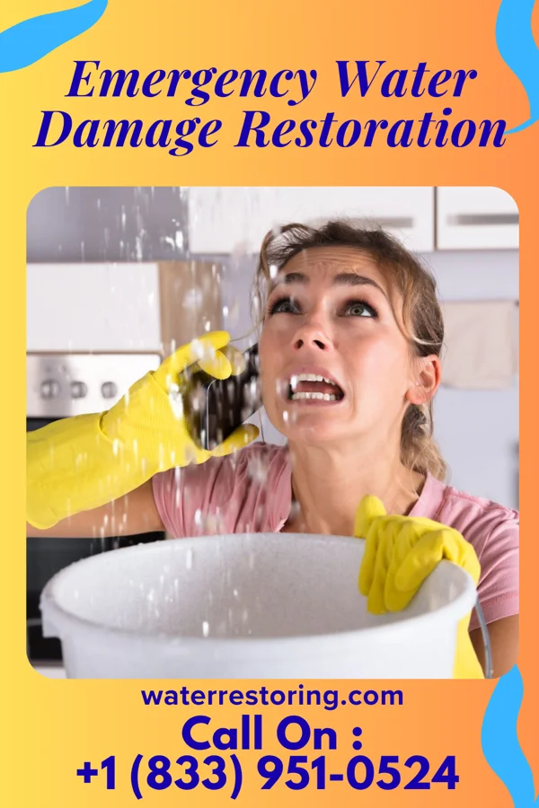 Emergency Water Damage Restoration in Montpelier, OH