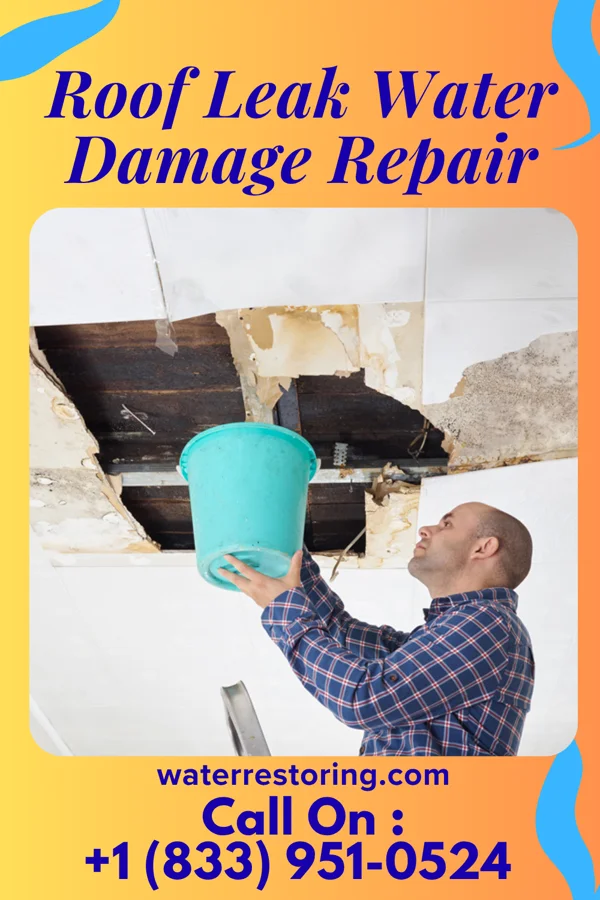 Roof Leak Water Damage Repair in Montpelier, OH
