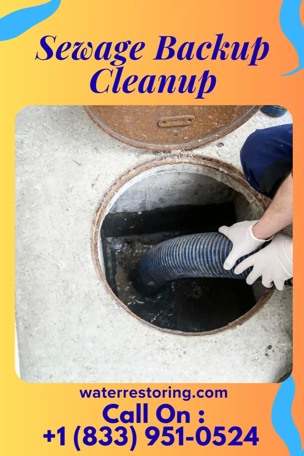 Sewage Backup Cleanup in Montpelier, OH